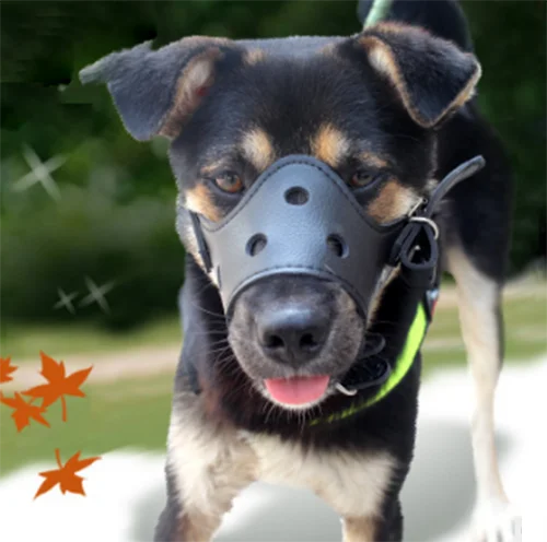 
Keep dogs from barking, dog bite mask/ dog mouth cover/Stop barking set 