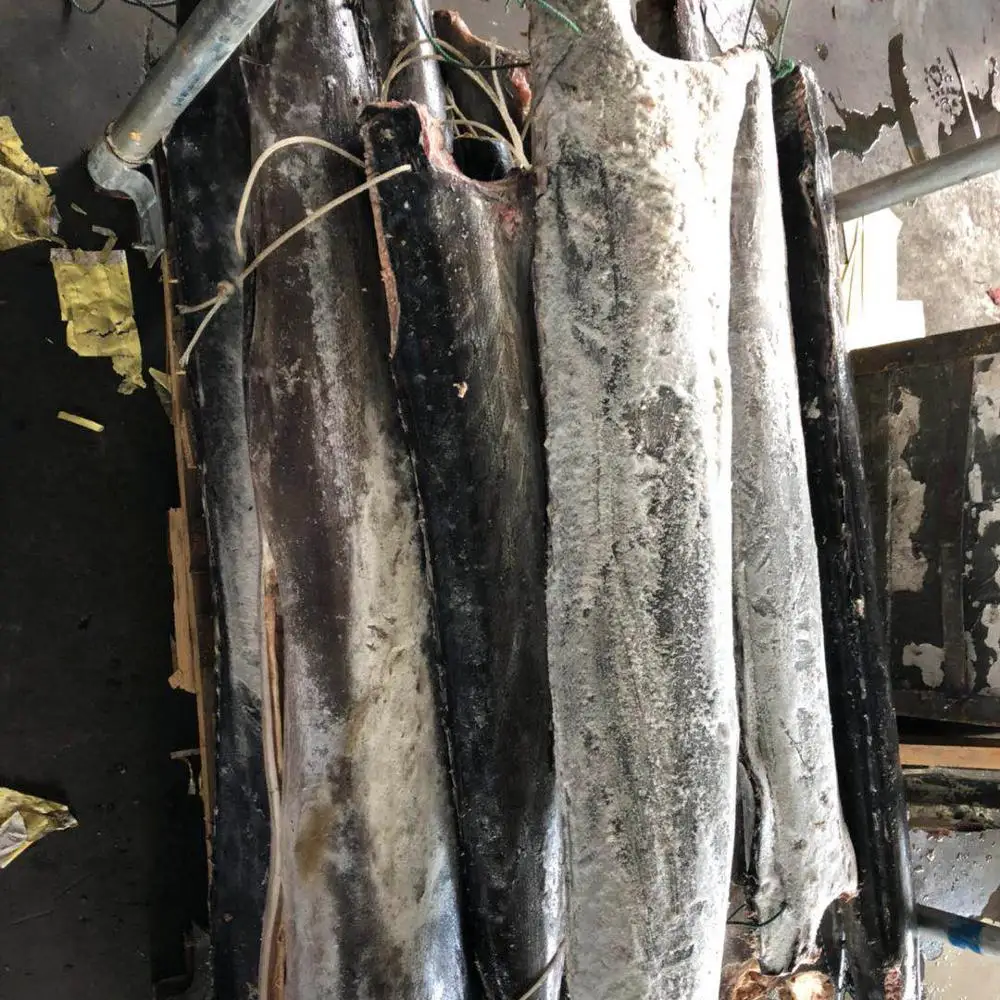 Frozen sailfish HGT blue marlin seafrozen