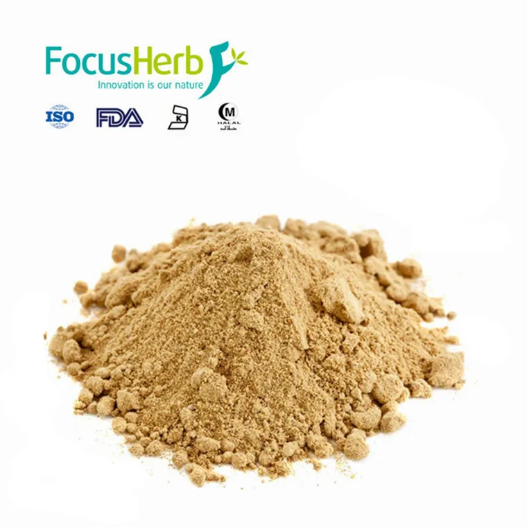 
Natural Spices and Herbs Cumin Seed Powder 