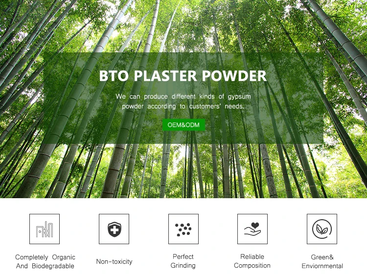 Gypsum  Plaster Powder_01