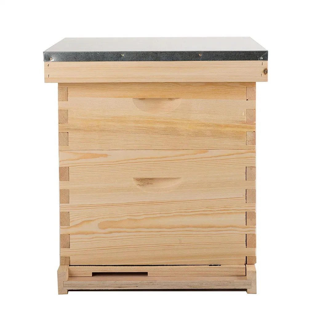 
Hot sale apiculture equipment beehive langstroth bee hives with 2Layer for apicultura 
