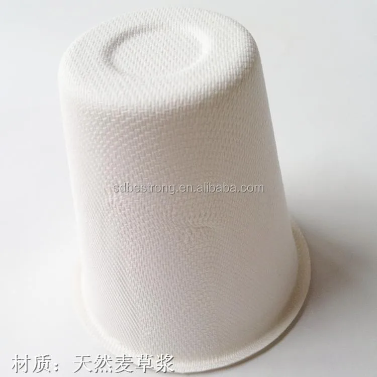 Professional Disposable Bagasse Pulp wit Low Price