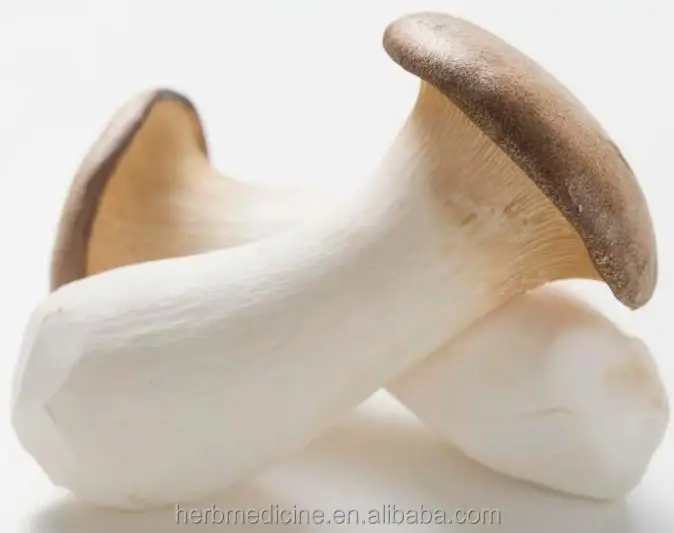 
Pleurotus eryngii dried mushrooms Boletus of the steppes King Oyster Mushroom slices for food 