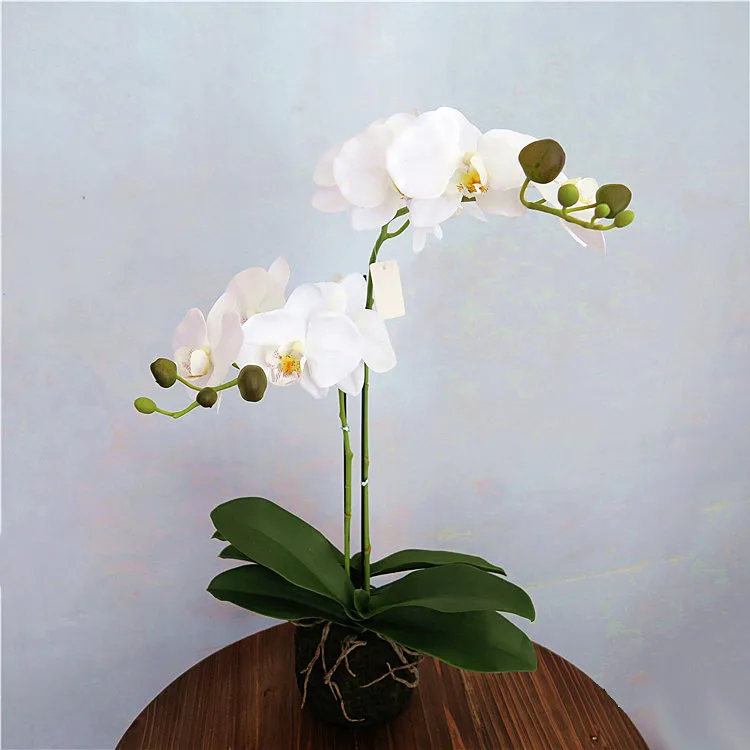 2019 Hotsales orchid silk daisy flower for interior decoration