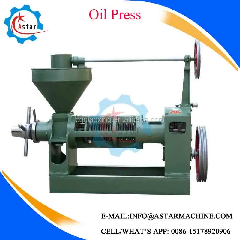 Mini Home Use Peanut Soybean Oil Press Machine