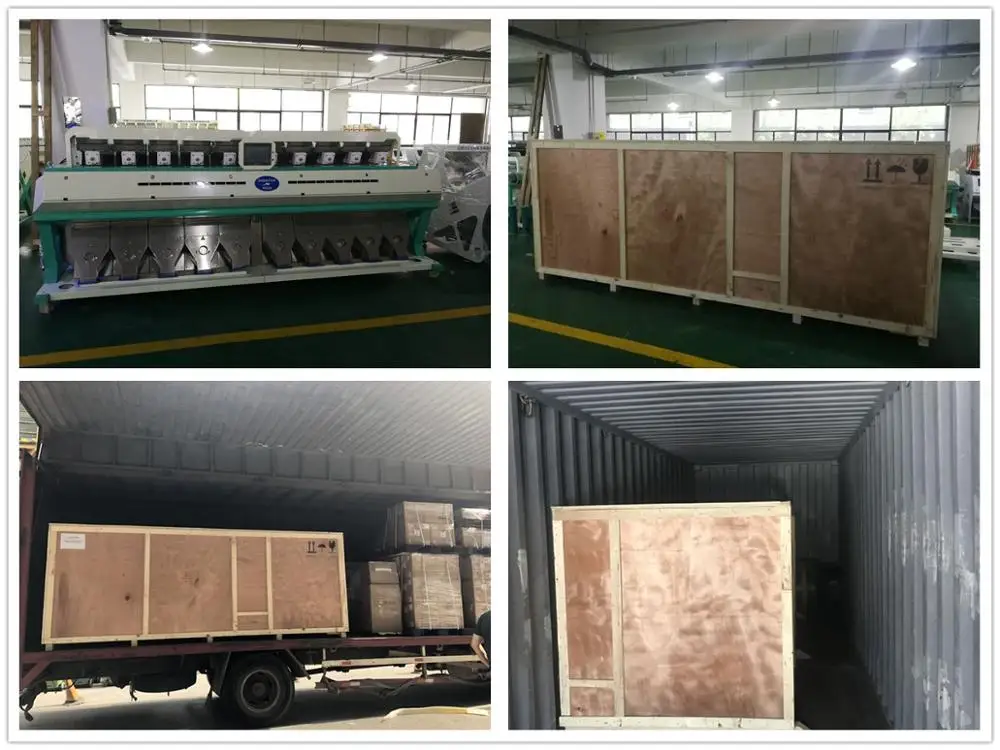 CCD optical kidney beans color sorter | kidney beans optical sorting and grading machine