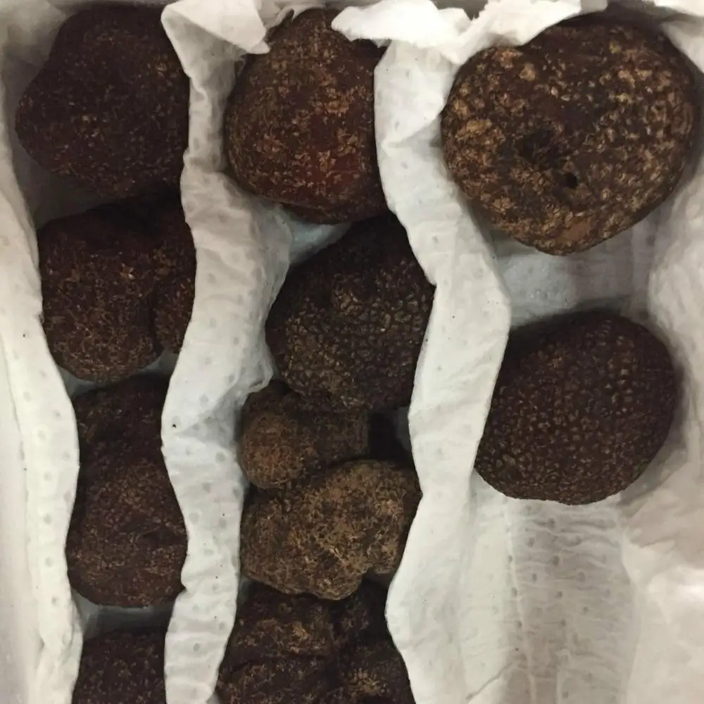 Detan Wild Black Fresh Buyer Truffle
