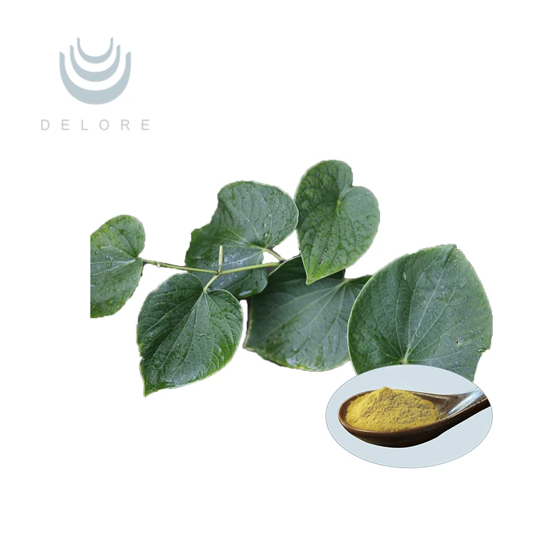 Free Sample Kavalactone Piper methysticum Kava Kava Root Extract