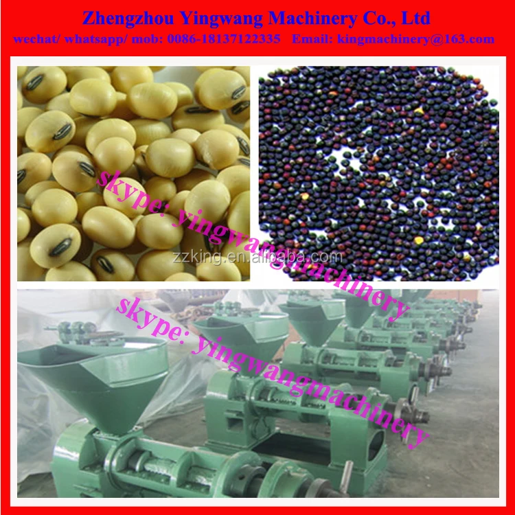 Hemp grape seed oil moringa seed press machine /walnut oil extracting pressing machine