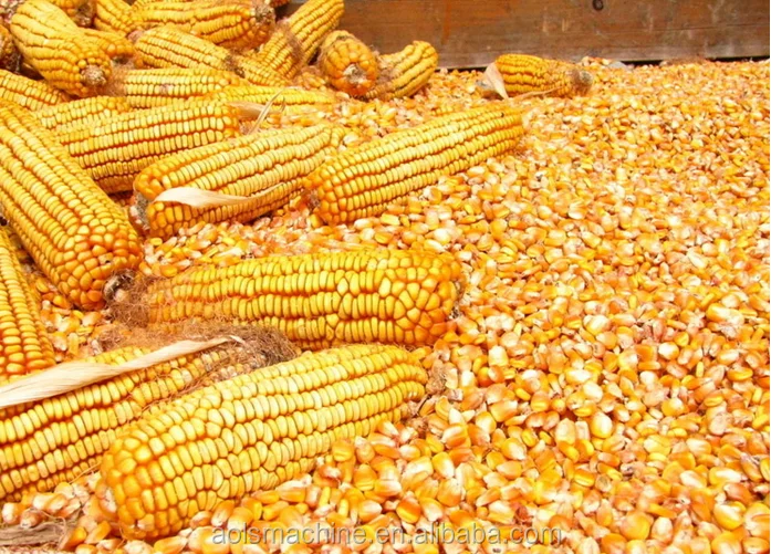 animal feed 690 Multi-functional hammer mill crusher / grinder for maize