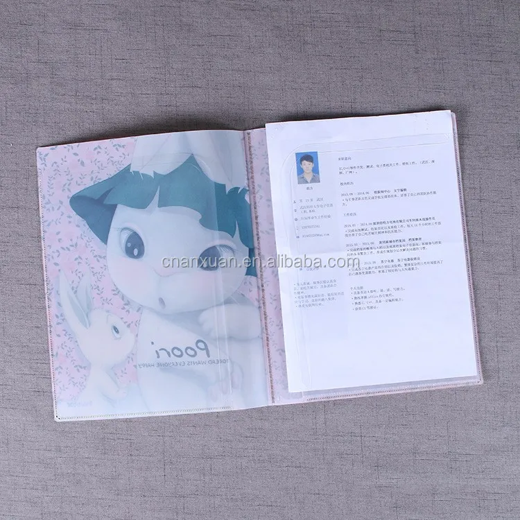 fair and lovely stationery japanese plastic file folder