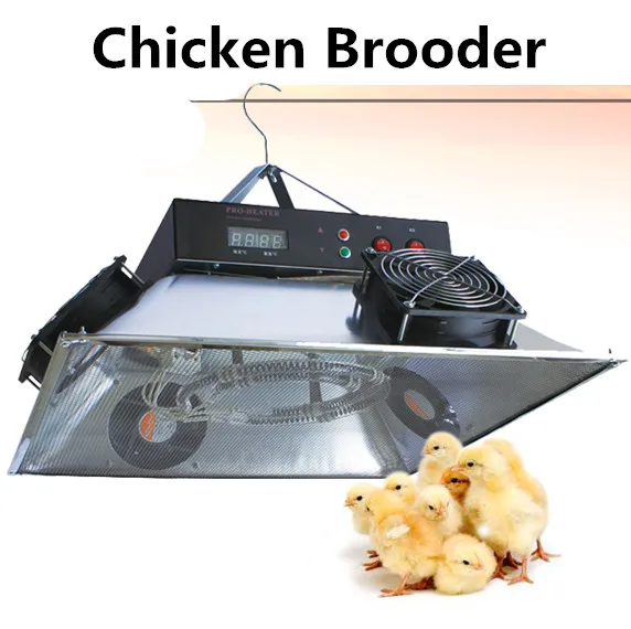 Automatic high quality chicken heater brooder for sale