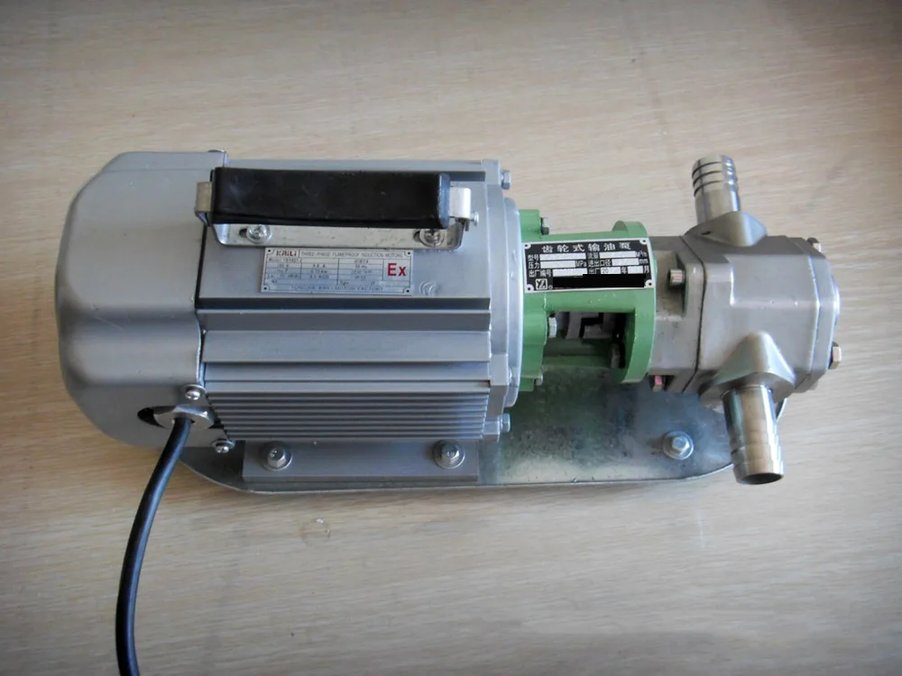 WCB Small Double Gear Pump Portable Oil Pump Electric diesel Transfer Pump