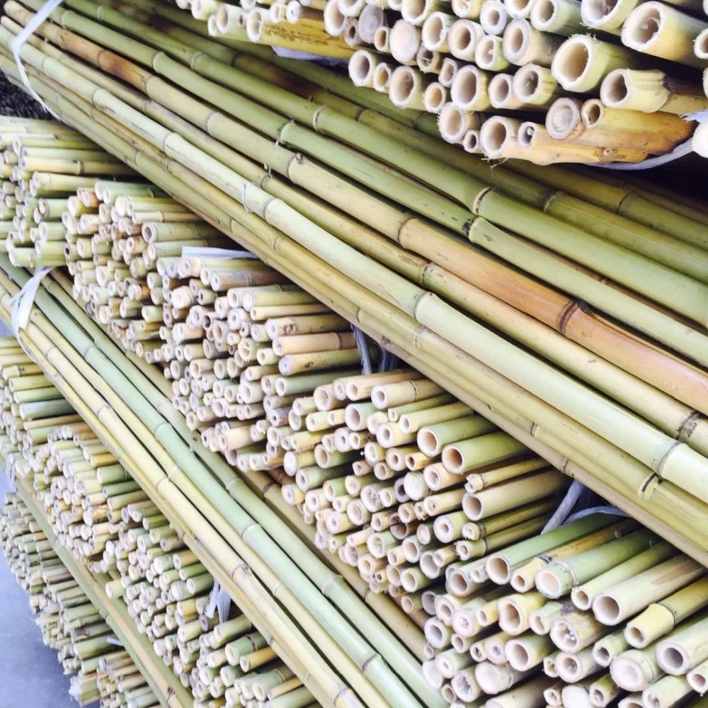 cheap raw high quality bamboo stakes