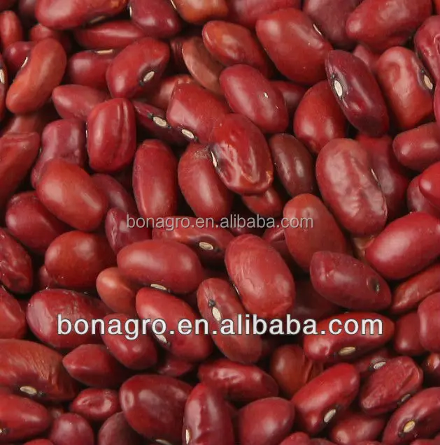 
dark red kidney bean 