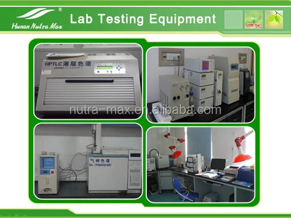  Натуральный порошок экстракта листьев зефира