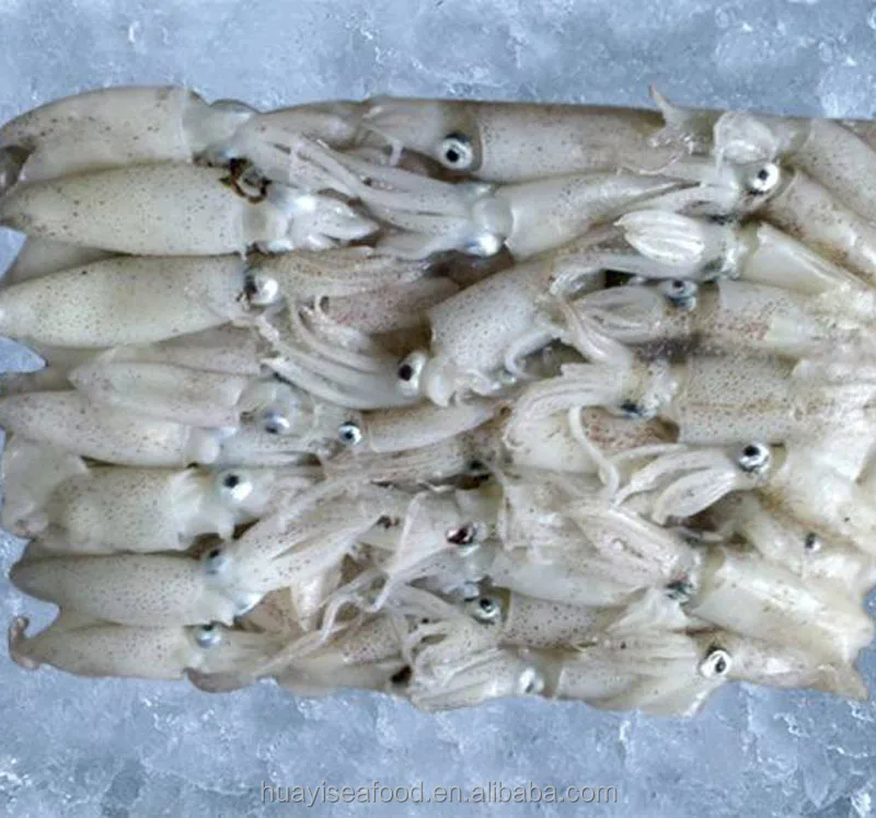Замороженный детский кальмар liligo