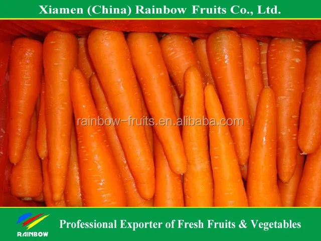 Свежая китайская красная морковка в 2016