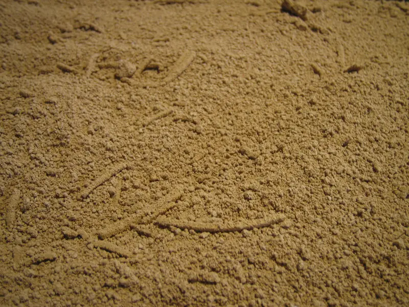 detergent enzymes Neutral enzyme in stone washing