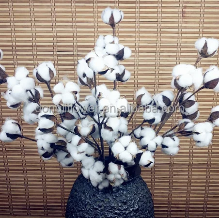 Cotton stem stem spray 18 boll China wholesale lowest price