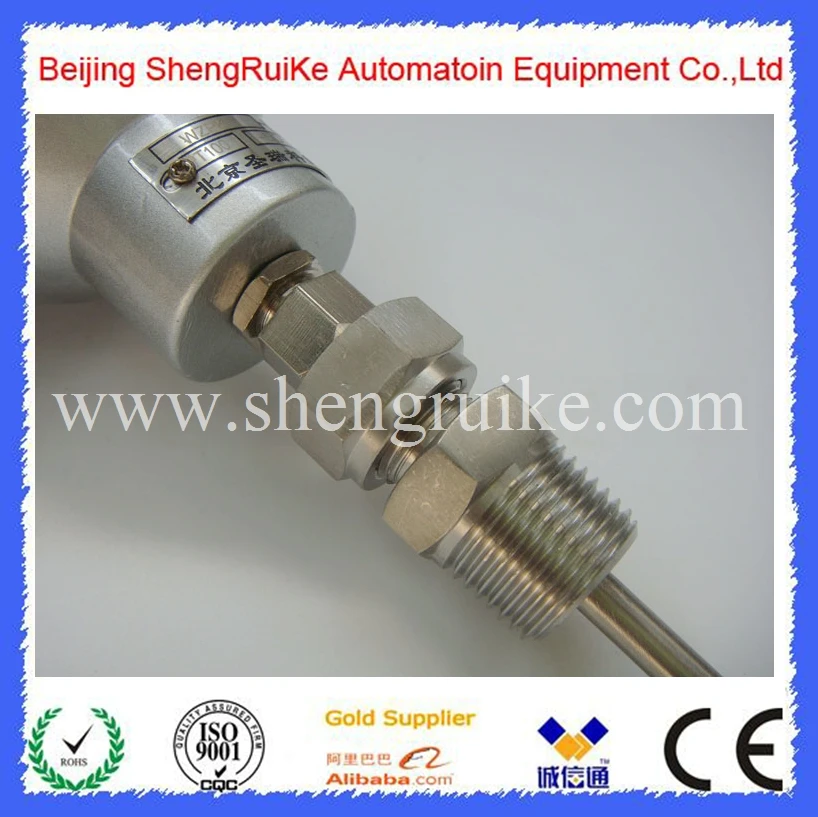 WZPK-338 RTD Pt100 Sensor