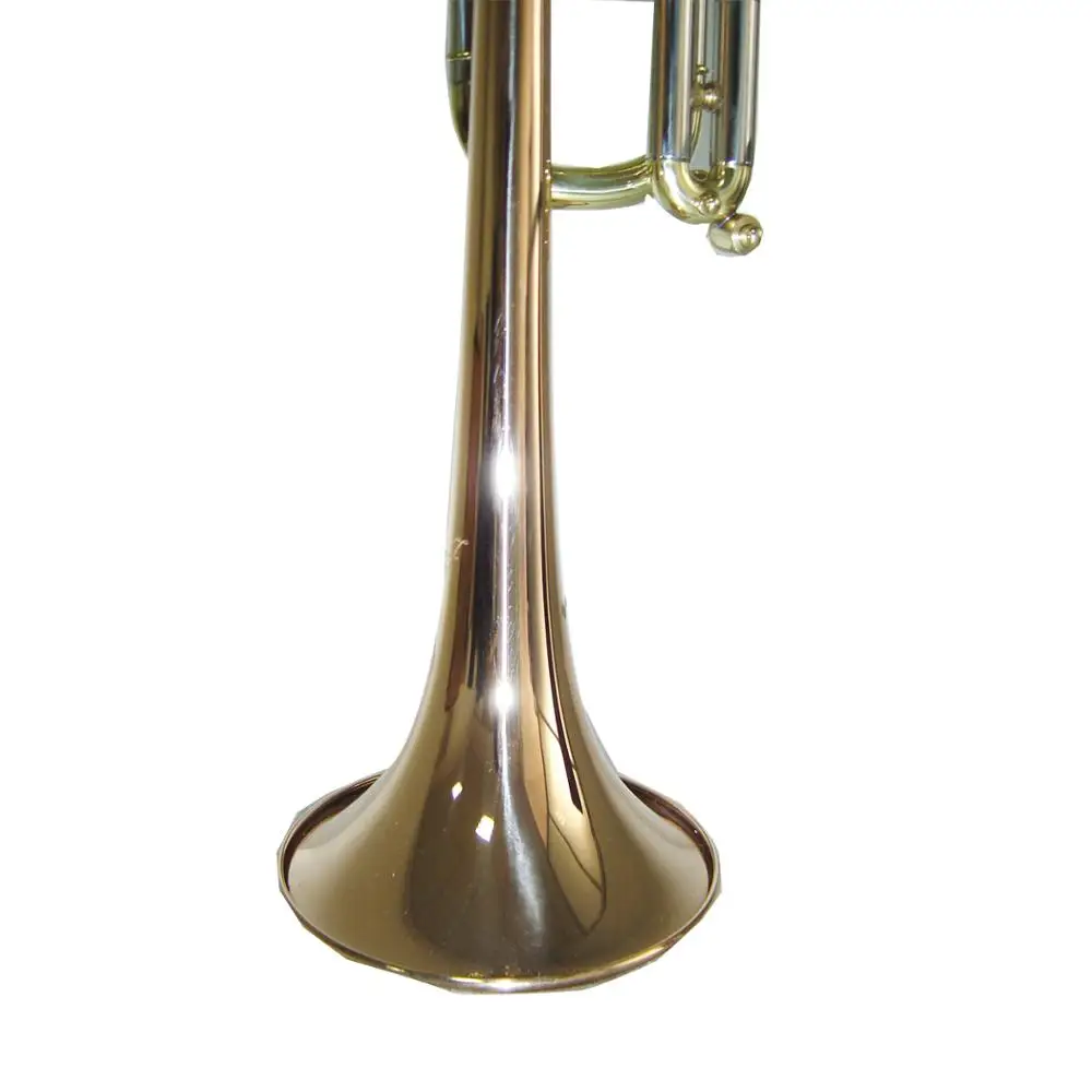 Metal brass trumpet with case