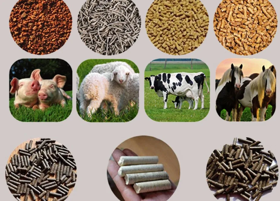 Flat die rice husk pellet animal feed granulator make machine for farm used