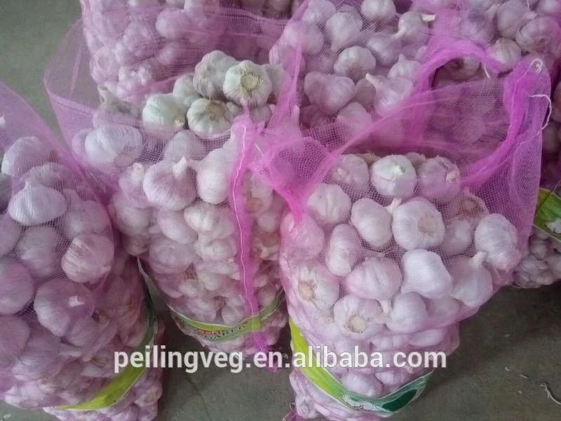 fresh garlic China factory 2018