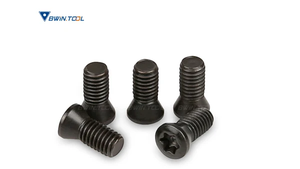 Made in China Torx Head Screw M2.5*6 torx screw