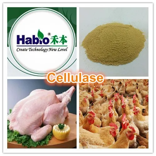 Habio Cellulase (Powder, Liquid)