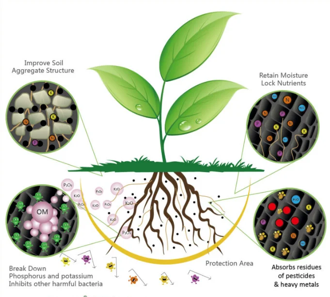 Liquid Organic Fertilizer Plant Fertilizer China Fertilizantes Agricolas Argo 70% Humic Acid