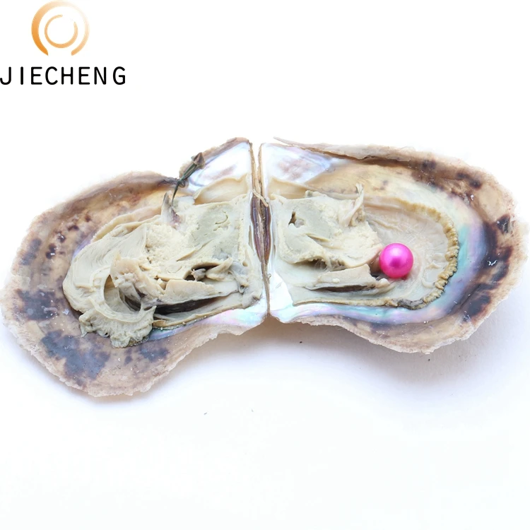 35 Dyed Akoya 6-8mm Freshwater Cultured Oysters With Akoya Pearls,Vacuum Packaged Oyster Perlas Wholesale