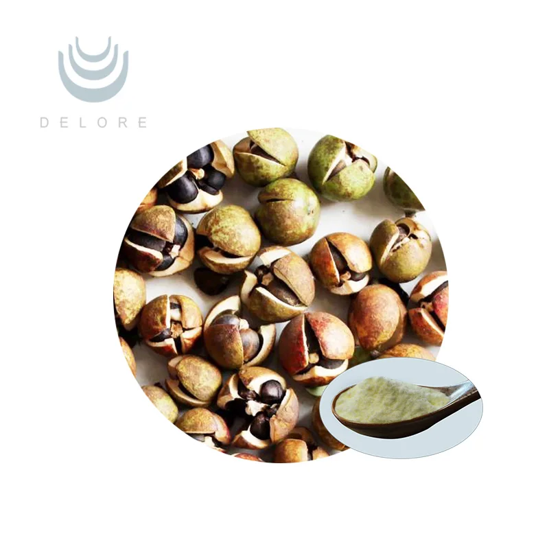 Factory supply 100% Natural Camellia seeds extract 95% Tea Saponins