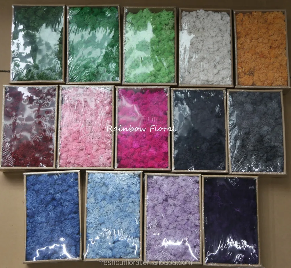 A grade preserved Moss china pure moss wholesale from Kunming