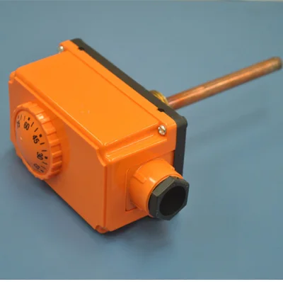 
immersion thermostat for water heater system 