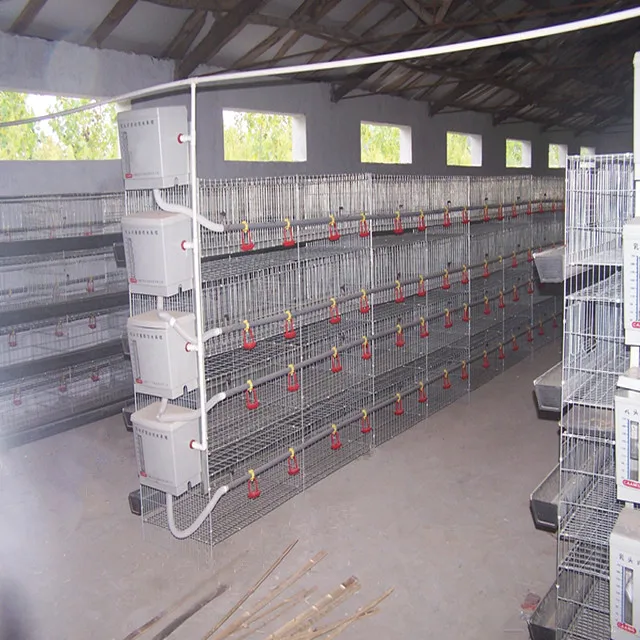 
 Аккумуляторная батарея H-типа для птичьего бройлера с резервуаром для воды из полипропилена  