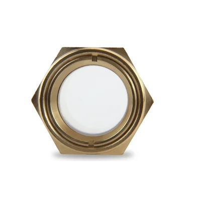 1/4 Inch NPT Pipe Thread Medium Pressure Sight Plug Fused Sight Window