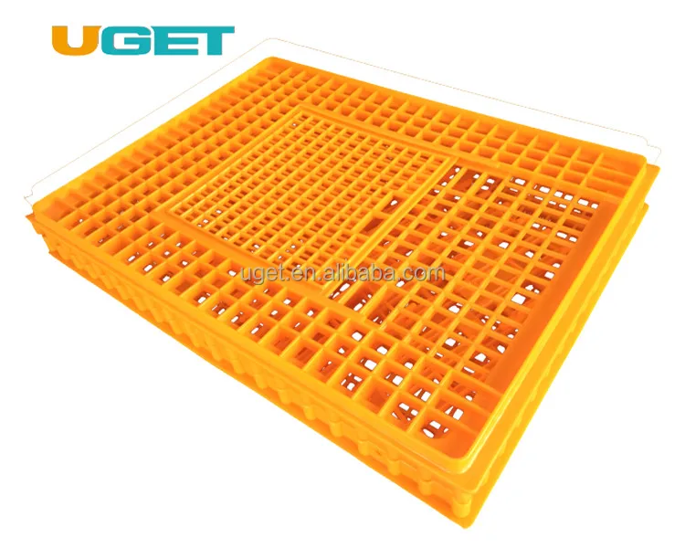 
Customized Recyclable Stackable Plastic Transport Poultry Crate for Chicken Duck Goose Dove 