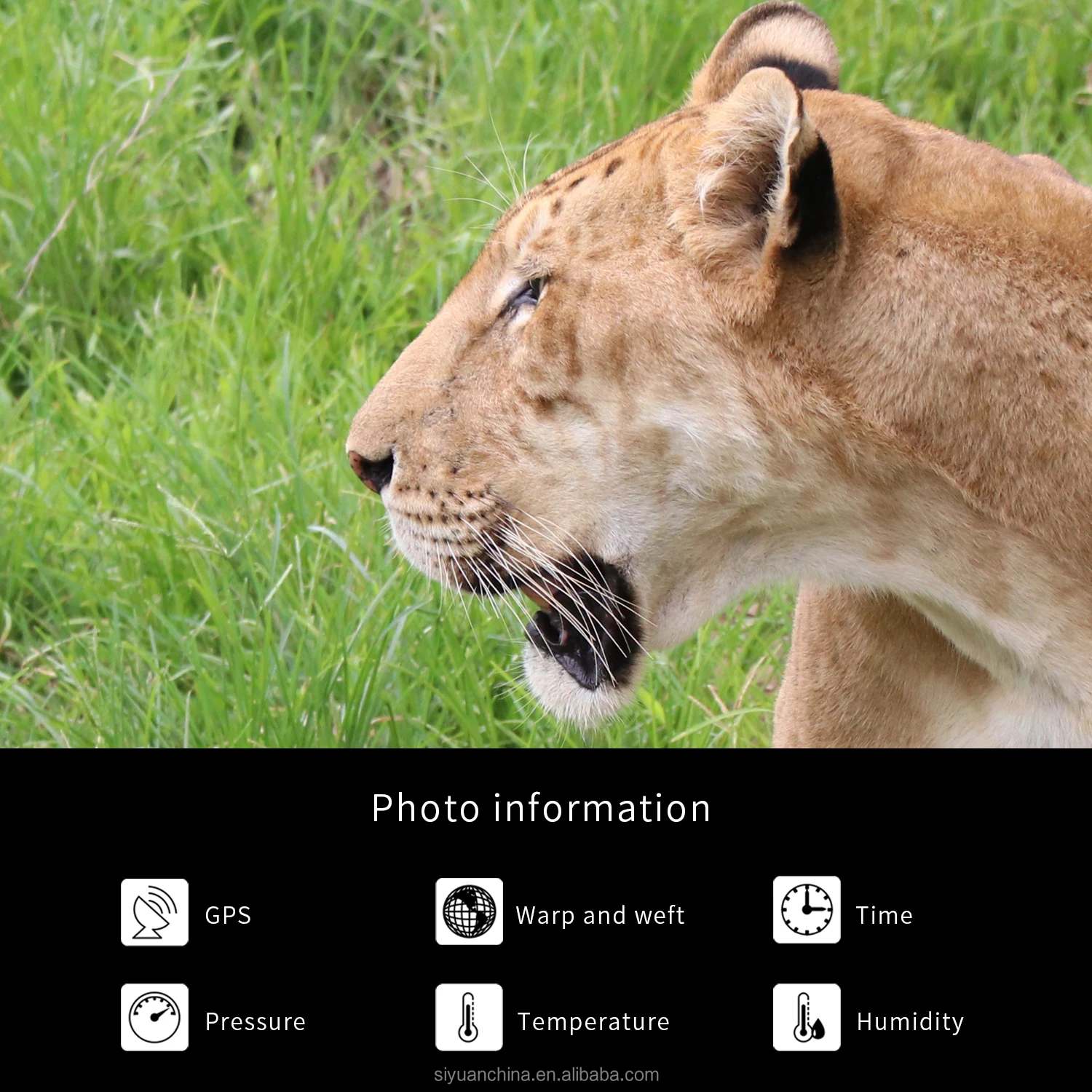 Bestguarder 30MP HD 1080P IR Hunting Game Trail Scouting Camera Wildlife Camera IP68 waterproof with long detection