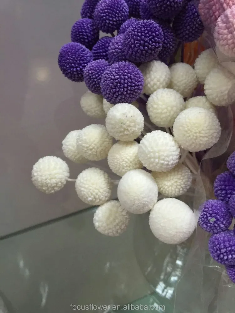 fast delivery wholesale real preserved roses cut price for weddings