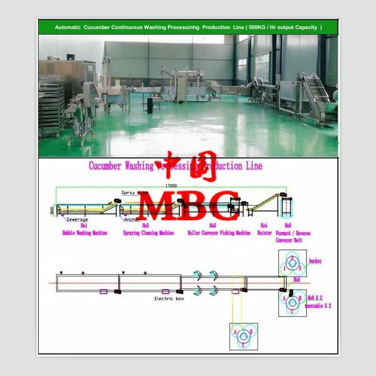 
Automatic continuous bottles canned cucumbers processing machinery 