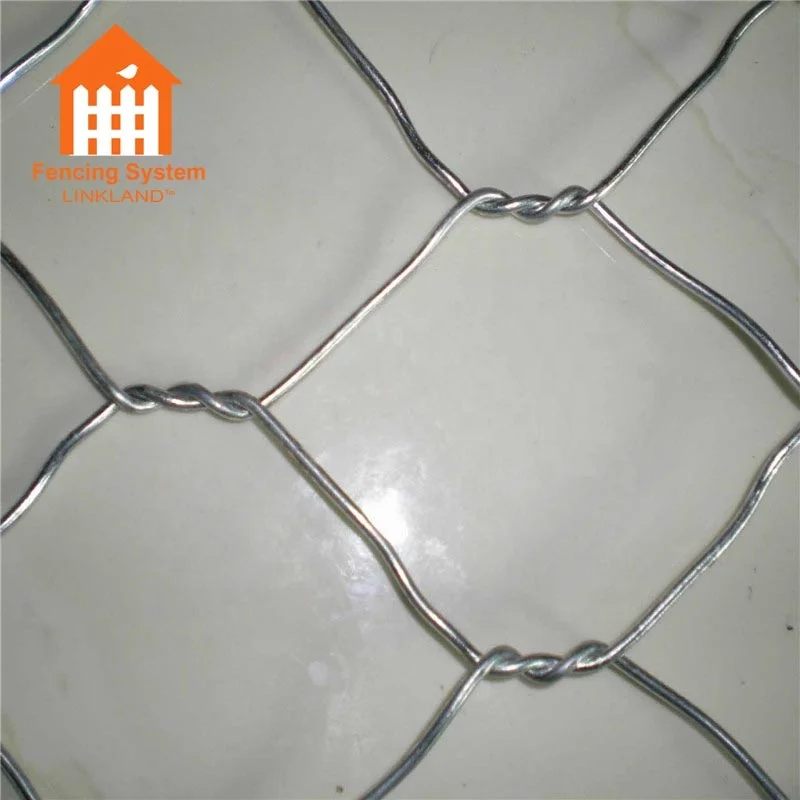 Galvanized Hexagonal wire mesh/Chicken wire mesh