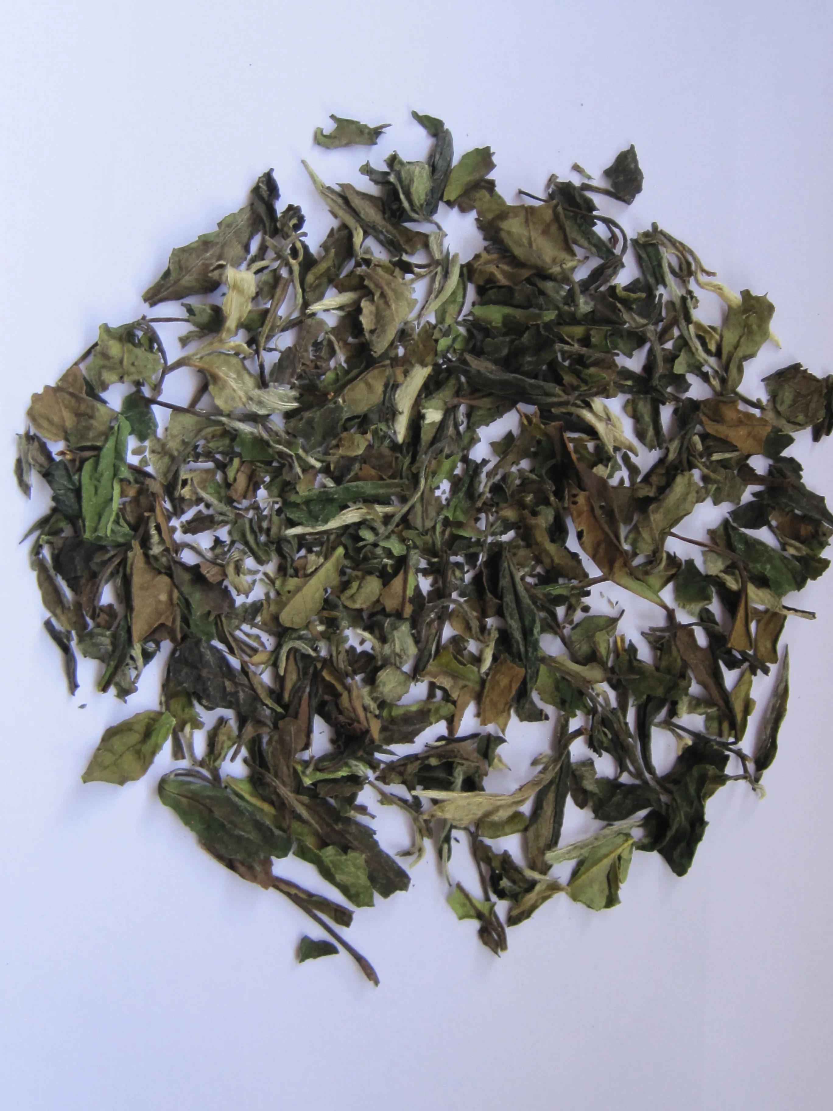 Chinese Eu compliant White tea price fujian White Peony tea
