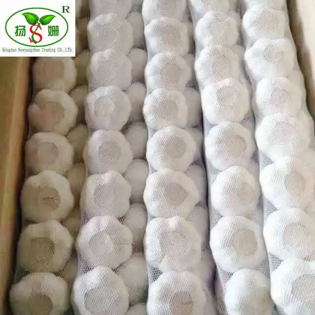 Новый Урожай свежего чистого белого и обычного белого чеснока