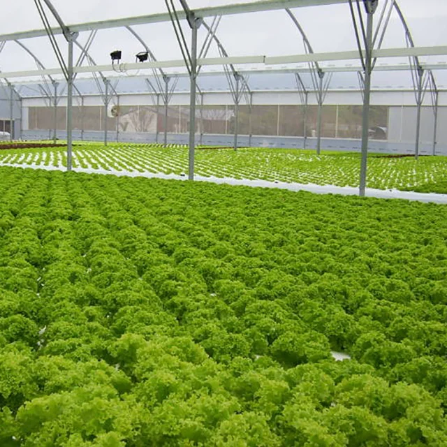 Smart glass greenhouse and agricultural vegetable greenhouse