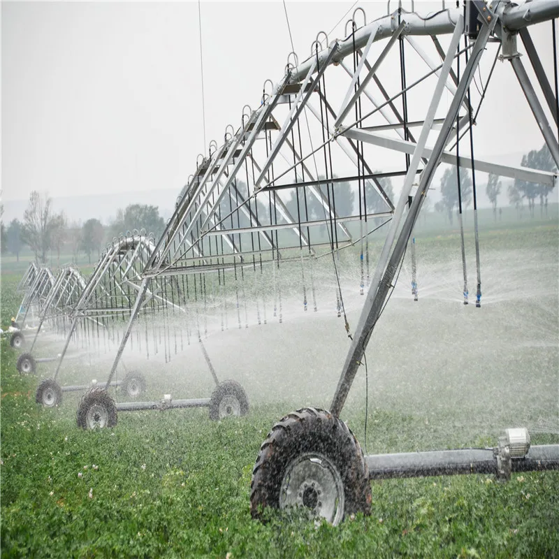 Center Pivot Irrigation System with Big Gun Sprinkler / Agricultural Machinery Farm Irrigation System
