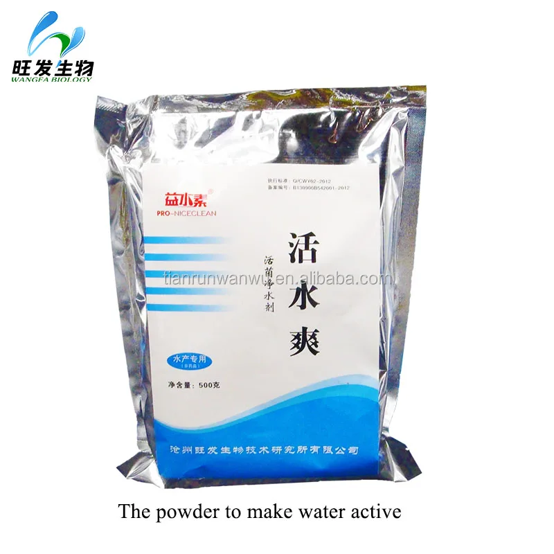 Beneficial microbes powder for aquaculture pond water