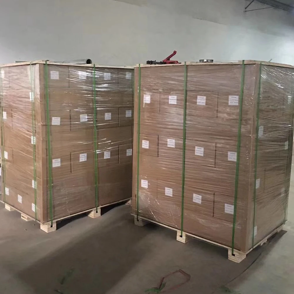 Non-Waterproof Digital Printing Glossy 220gsm Polyester Canvas Inkjet Roll