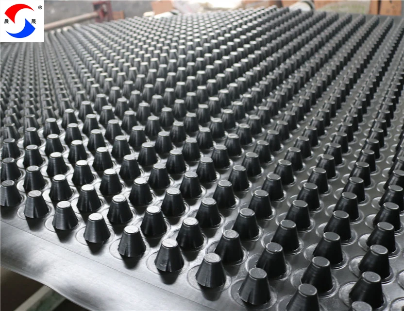 Dimple waterproof drainage board drainage mat HDPE drainage board
