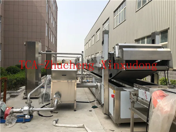 Continuous industrial banana and plantain frying machine